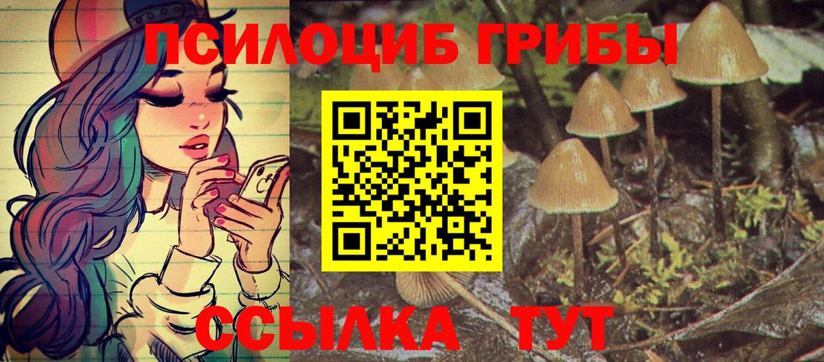 Псилоцибиновые грибы мицелий Еманжелинск