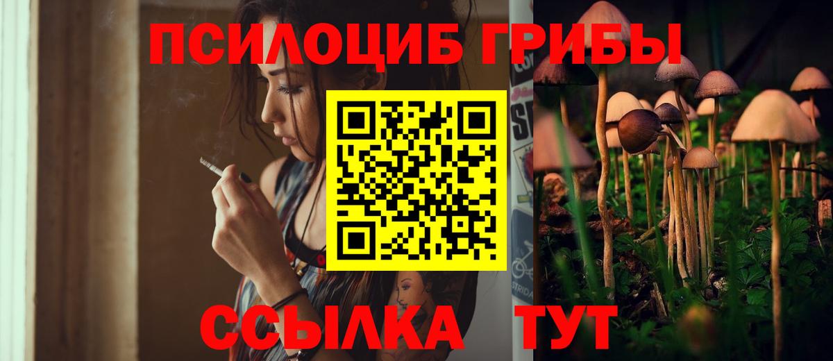 Еманжелинск  Псилоцибиновые грибы MAGIC MUSHROOMS  что такое   Вход с VPN 